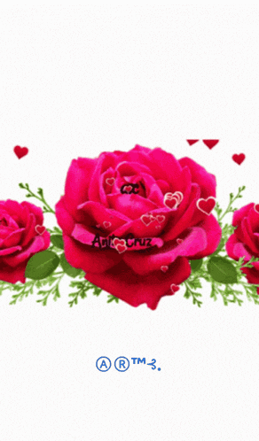 three red hearts are surrounded by pink roses and the word adicruz is on the bottom