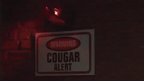 Cougar Cougar Alert GIF - Cougar Cougar Alert Alert GIFs