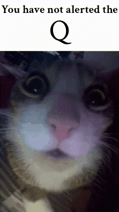 a picture of a cat with the words " you have not alerted the q "