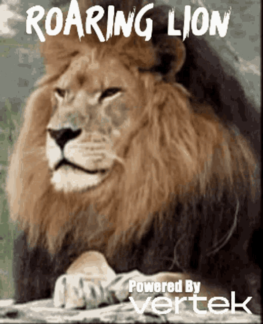 Roaring Lion Defi Vertek Defi GIF - Roaring Lion Defi Vertek Defi Madrid Defi GIFs