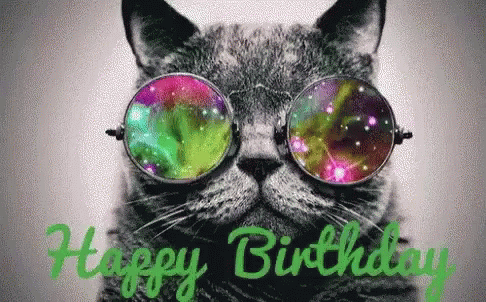 Happy Birthday Cat GIF - Happy Birthday Cat Swag GIFs
