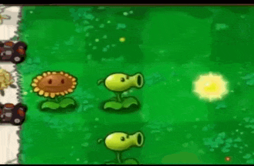 a screenshot of a video game called plants vs zombies with a sunflower and a peashooter .