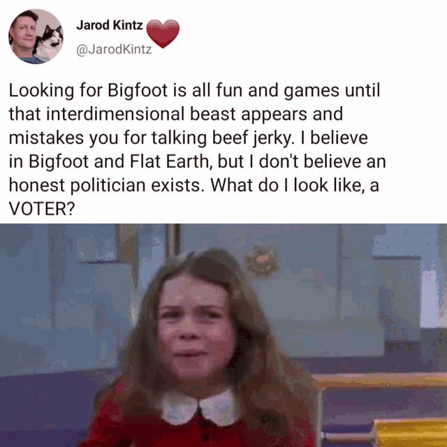 Bigfoot Politics GIF - Bigfoot Politics Voter GIFs