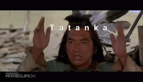 Tatanka Buffalo GIF - Tatanka Buffalo Indian GIFs