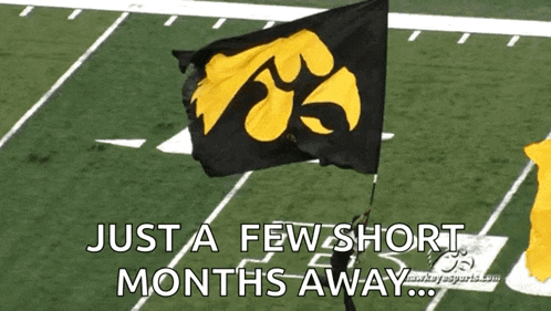 a black and yellow flag on a field with the words just a few short months away below it