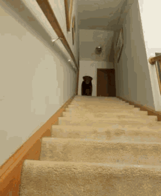 a staircase with a wooden railing and a carpeted staircase