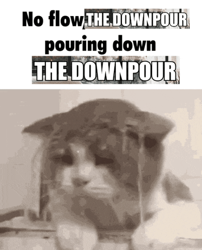 a cat with the words " no flow the downpour pouring down the downpour " on it