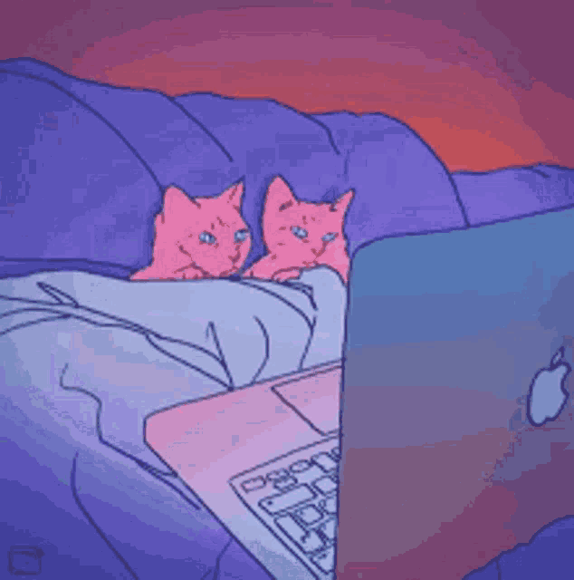 two pink cats laying on a bed next to a laptop