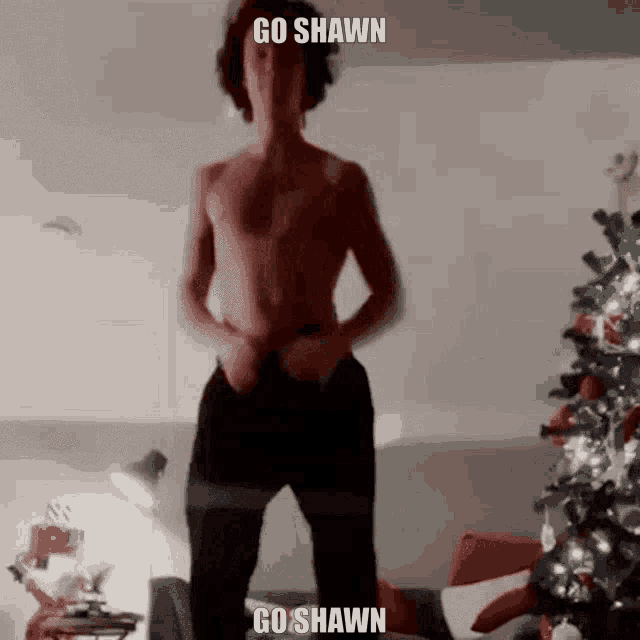 Shawn Mendes Shawn GIF - Shawn Mendes Shawn Mendes GIFs