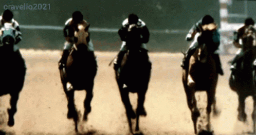 Horses Horse Race GIF - Horses Horse Horse Race GIFs