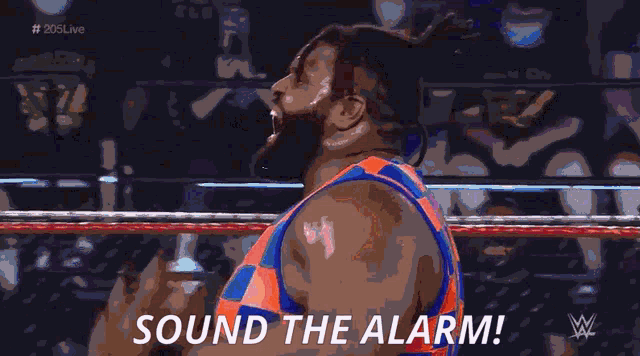 a wrestler in an orange and blue checkered outfit is standing in a ring