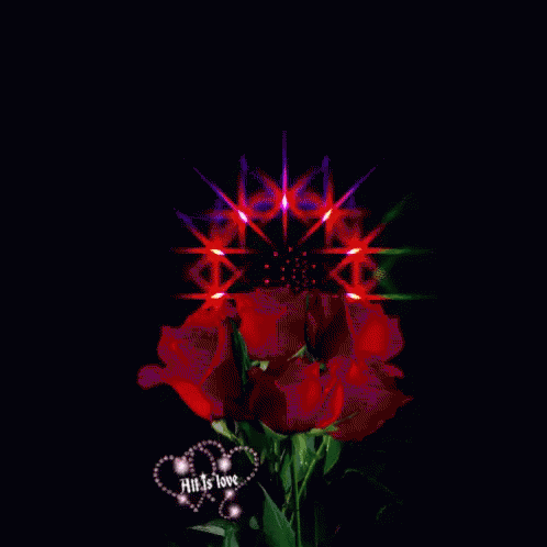 Flower Rose GIF - Flower Rose Lights GIFs