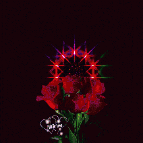 a bunch of red roses are surrounded by a rainbow of colors