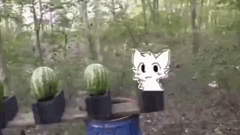 a cartoon cat is standing next to a bucket of watermelons in a forest .