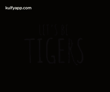 Lets Be Tigers.Gif GIF - Lets Be Tigers Gif Title GIFs