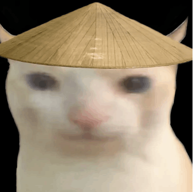 Cats Rice Hat GIF - Cats Rice Hat Chinese Cat GIFs