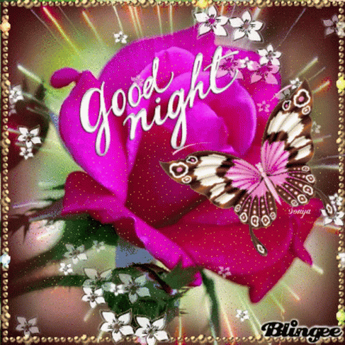 Good Night Butterfly GIF - Good Night Butterfly Rose GIFs