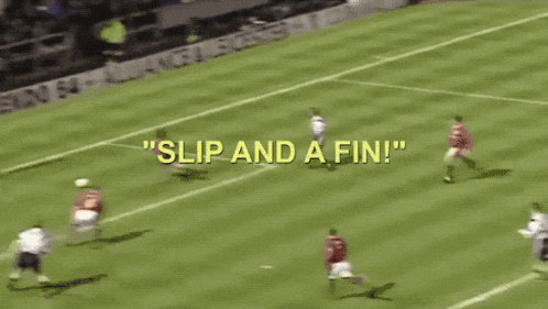 a blurred image of a soccer field with the words slip and a fin