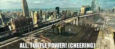 an aerial view of a city with the words " all turtle power cheering "
