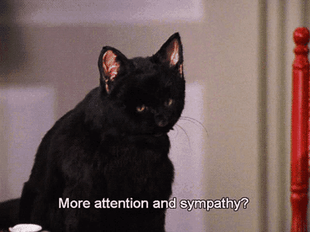 a black cat with the words more attention and sympathy behind it
