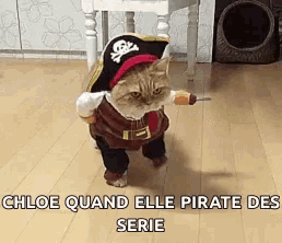 a cat dressed as a pirate is walking on a wood floor