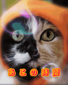 a pixelated image of a cat with the letters ao on the bottom right