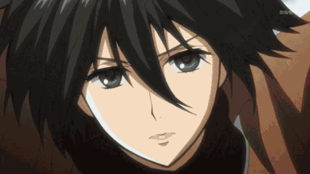 Mikasa Ackerman Anime GIF - Mikasa Ackerman Anime Snk GIFs