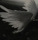 Angelcore Grunge GIF - Angelcore Grunge Y2k GIFs