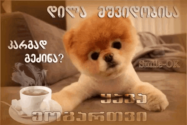 a picture of a puppy next to a cup of coffee with the words smile-ok on the bottom
