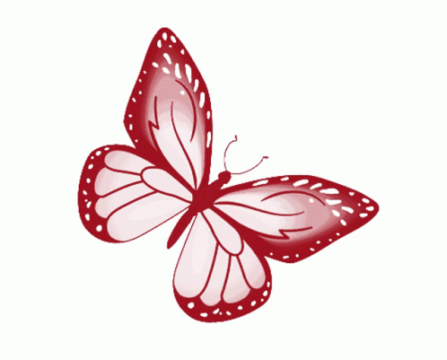 3d Butterfly Red Butterfly Sticker - 3d Butterfly Red Butterfly 3d Gifs  Artist - Discover & Share GIFs
