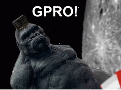 Go Pro Gpro GIF - Go Pro Gpro Gorilla To The Moon GIFs