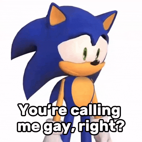 a picture of sonic the hedgehog saying " you 're calling me gay right "
