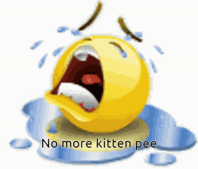 a crying smiley face with the words " no more kitten pee " written below it