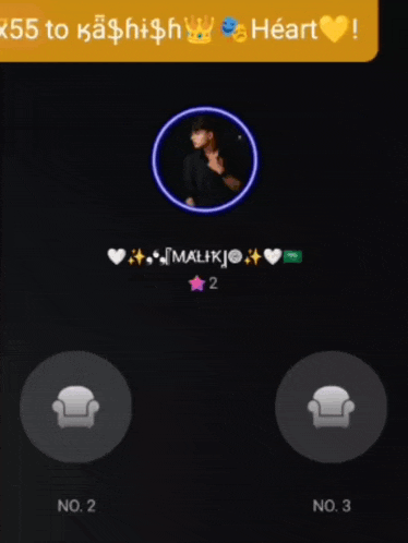 a screenshot of a person 's profile with their name malikjo