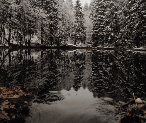 a lake in the middle of a snowy forest with trees reflected in it