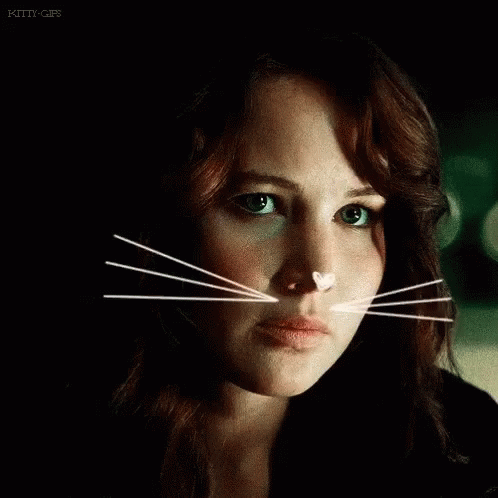 Hunger Games GIF - Hunger Games Katniss Everdeen GIFs