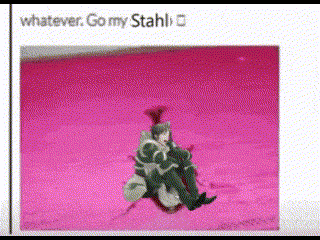 a picture of a person on a sled with the words whatever go my stahl