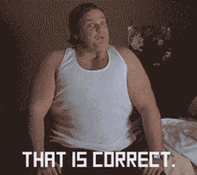 That Is Correct Billy Madison GIF - That Is Correct Billy Madison Chris Farley GIFs