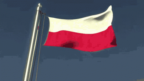 Polska Poland GIF - Polska Poland GIFs