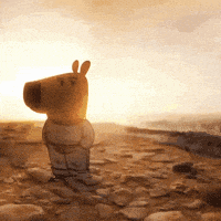 a stuffed animal is standing on a rocky shoreline at sunset