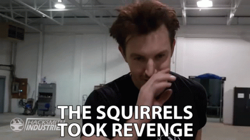 The Squirrels Took Revenge GIF - The Squirrels Took Revenge Fight Back GIFs