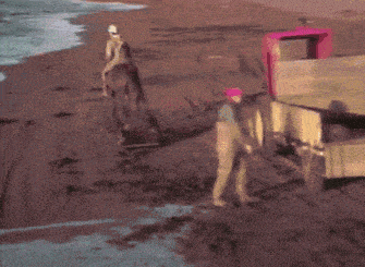 a man is riding a horse on the beach near the water