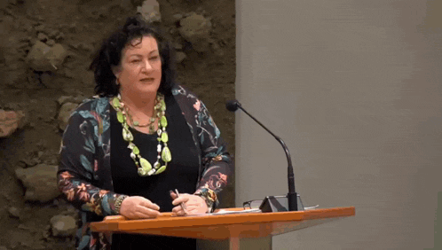 a woman stands at a podium with the words ik heb gewoon geen idee written below her