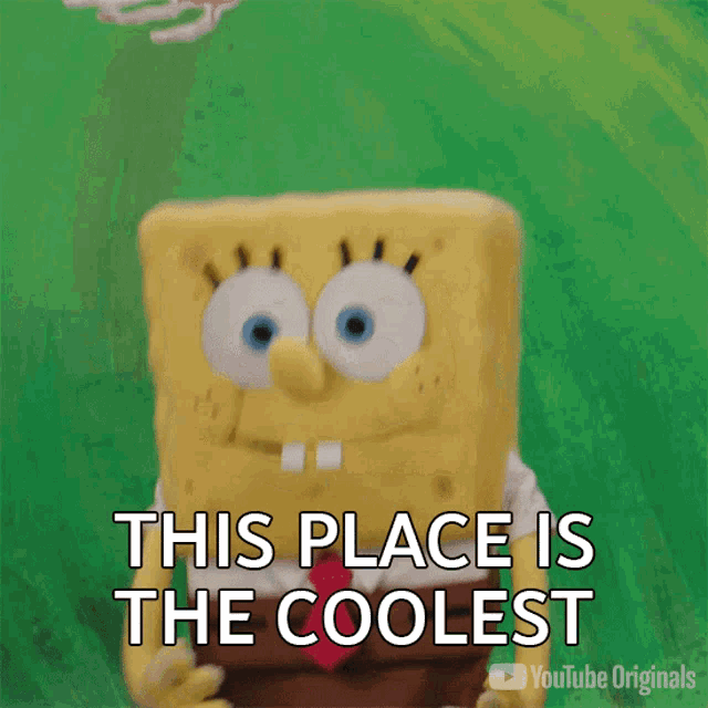 This Place Is The Coolest Spongebob Squarepants GIF - This Place Is The Coolest Spongebob Squarepants Youtube GIFs