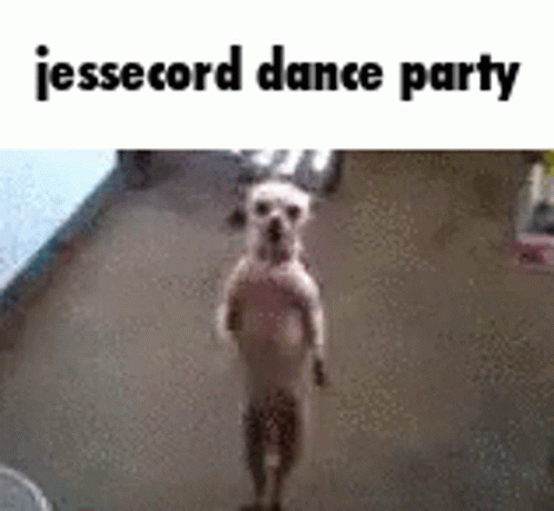 Jessecord Dog GIF - Jessecord Dog Funny GIFs