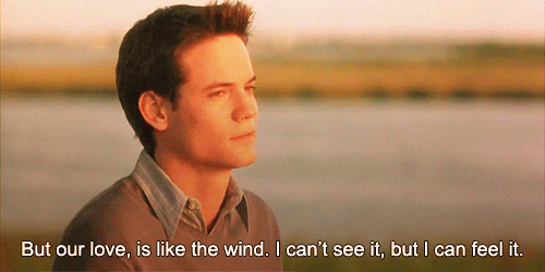 Love GIF - Love Quotes Love Is Like The Wind Shane West GIFs