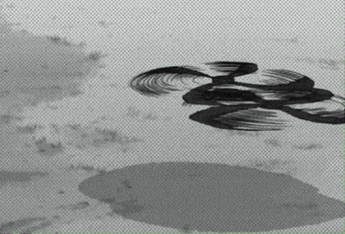 a black and white drawing of a bird flying over a body of water .