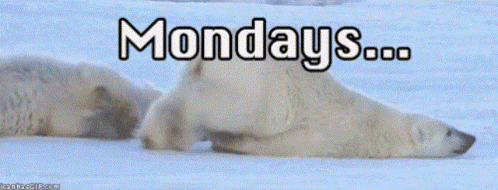 Monday Mondays GIF - Monday Mondays Mondays Be Like GIFs
