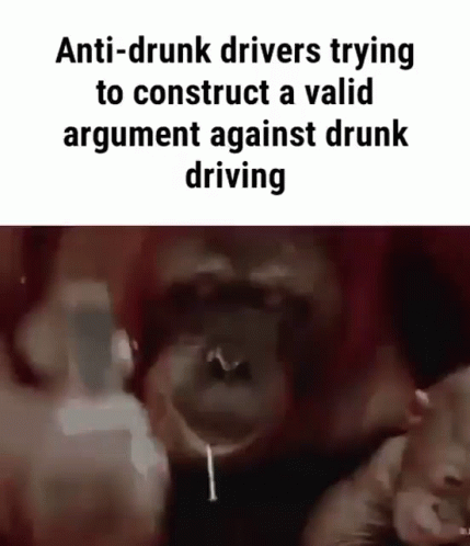 Anti Drunk Drivers GIF - Anti Drunk Drivers GIFs