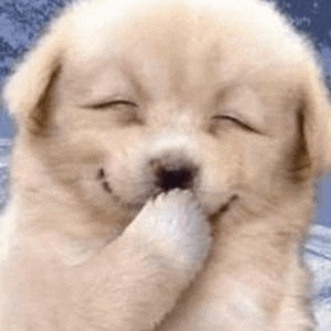 a small puppy is covering its mouth with its paw .